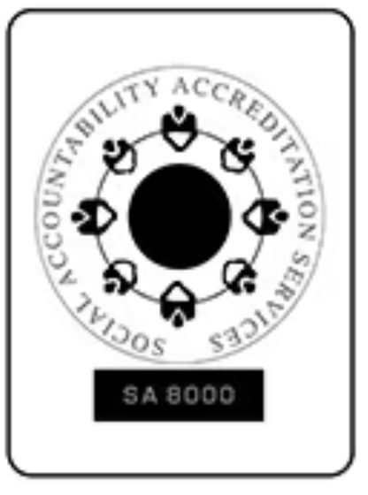 sa8000